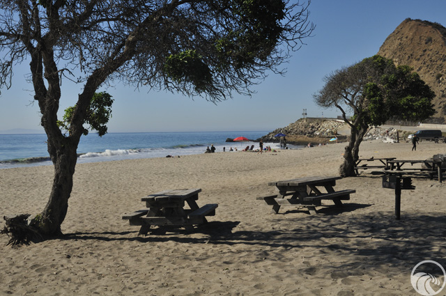 Sycamore Cove Beach